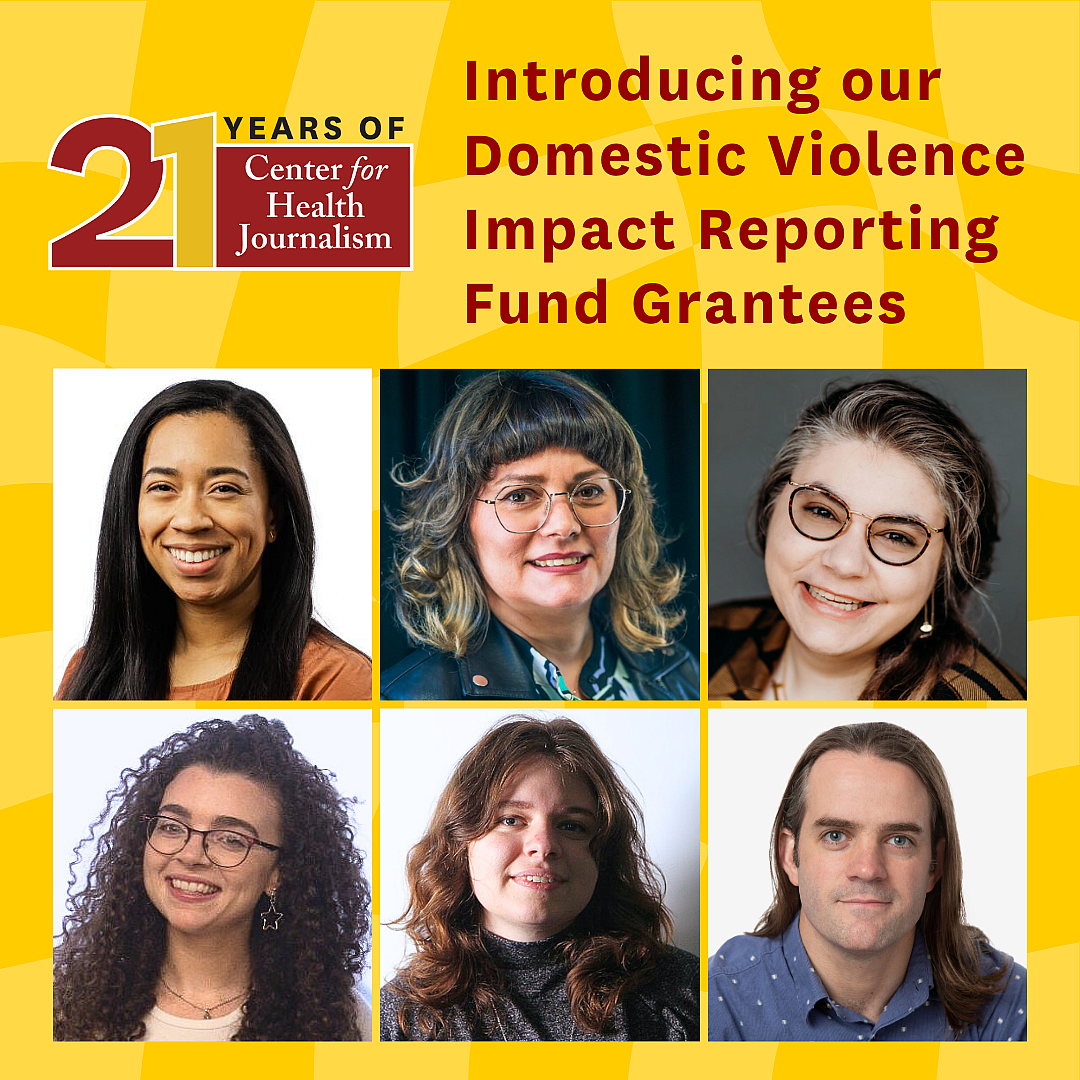 DV grantees 2025