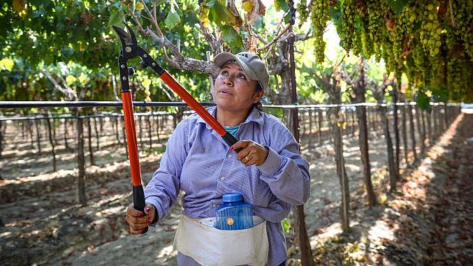 Uninsured Central Valley resident takes health into her own hands