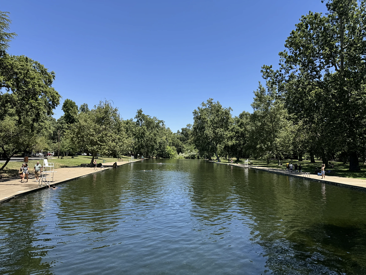 Water body with trees on either side