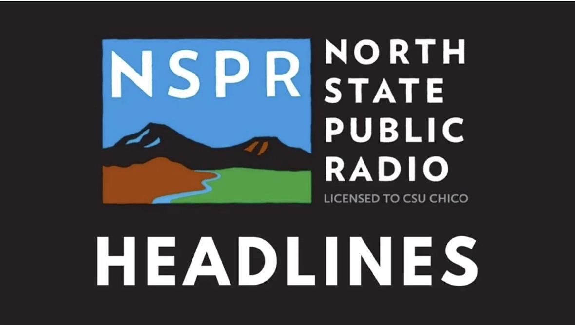 NSPR Logo