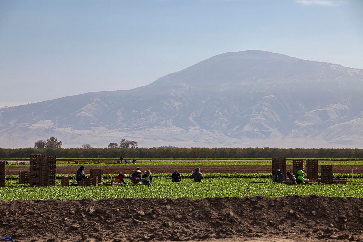 Image of fields