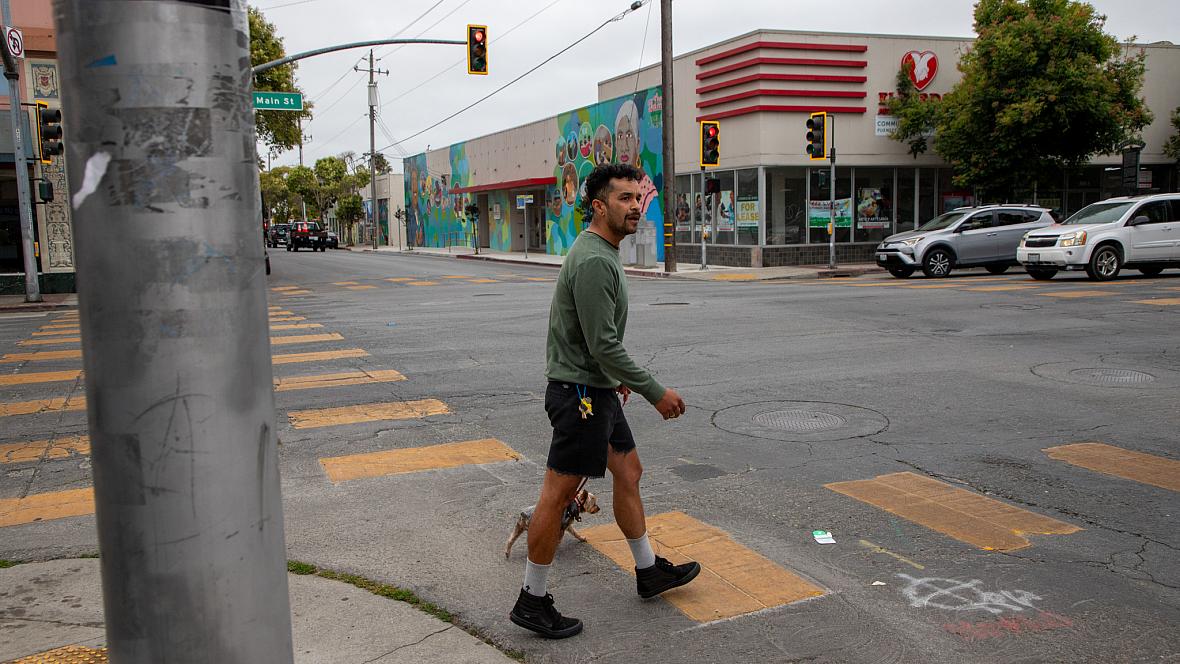 Person and dog walk on crosswalk