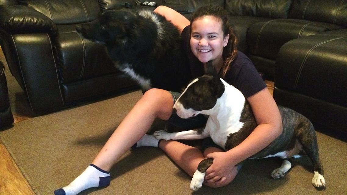 Eleven-year-old Faith Herrod, recovering from valley fever, plays with Moses, Ninja and her other four pets when she has the energy for it. (Kerry Klein/Valley Public Radio)