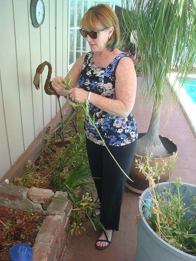 Julie Paez enjoys the cool of a summer morning in the backyard of her San Bernardino home. 