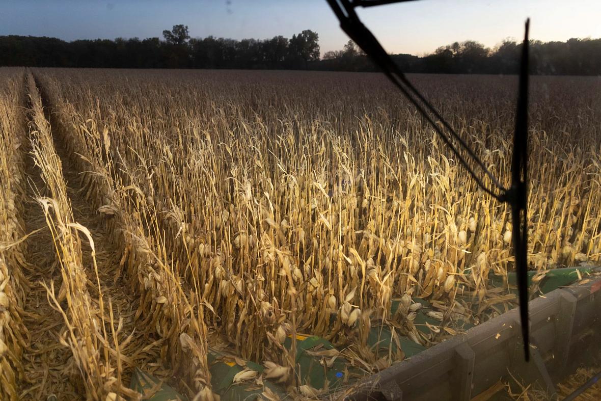 Farmer Jason Othmer operates a combine as he harvests corn near Vesta, an unincorporated community in Johnson County in southeas