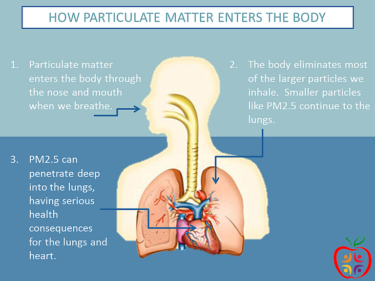 Particulate matter or particle pollution is a combination of solid particles and liquid droplets that are small enough to reach