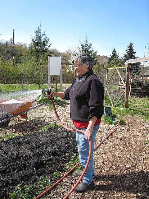 Sue McGann waters a bed of quinoa at Marra Farms.