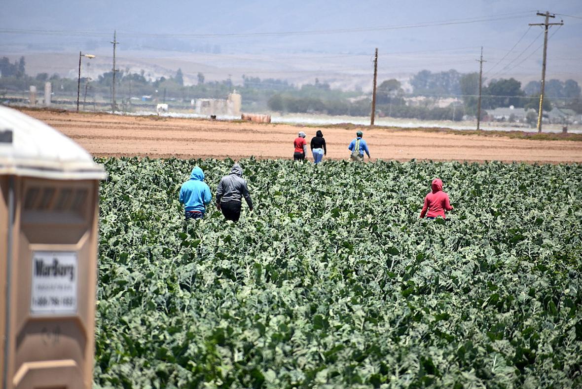 A countywide task force focused on pandemic prevention efforts for the agricultural community