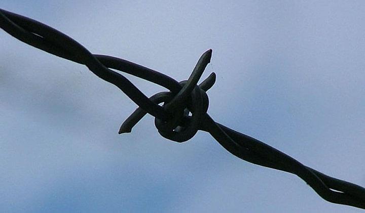 Image of Barbed Wire