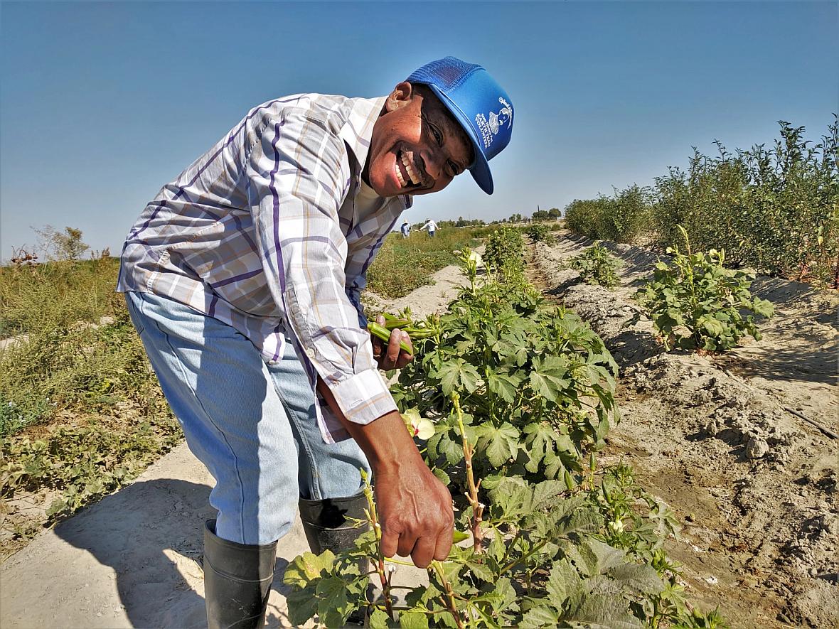 Dennis Hutson, who farms 60 acres in Allensworth, is one of many small farmers who worry they won’t be able to afford alternativ