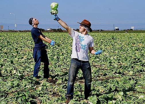 Gleaning the fields: Volunteers gather fresh food for the poor