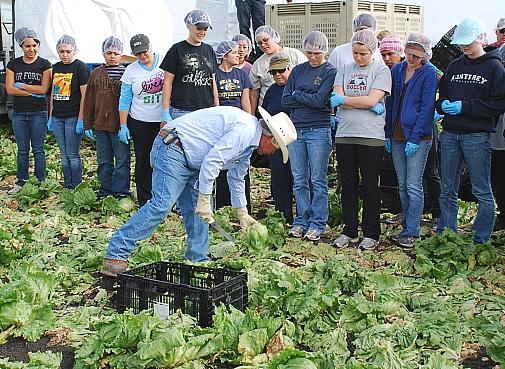 Evaluating nutrition education efforts at Santa Cruz's Second Harvest Food Bank