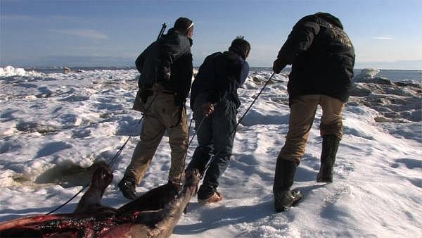 Keggulluk (left) and Evon Peter (right) after a successful seal hunt. (Marsh Chamberlain)
