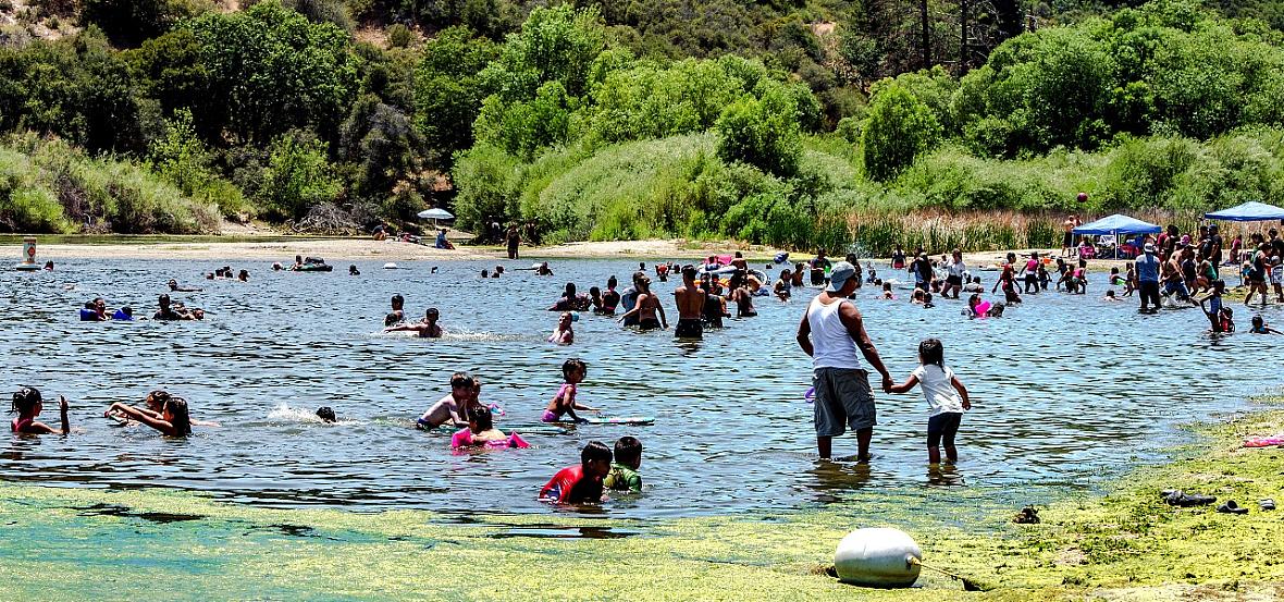 People play in water tainted by blue-green algae