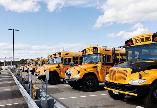 Yellow busses parked in a depot