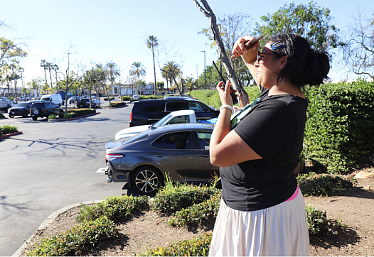 Celeste, a Santa Ana hub member, scans the Home Depot parking lot after receiving a call of a raid nearby. 