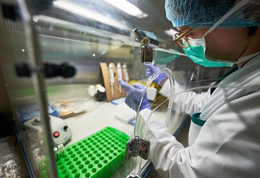 Person working in a chemical laboratory