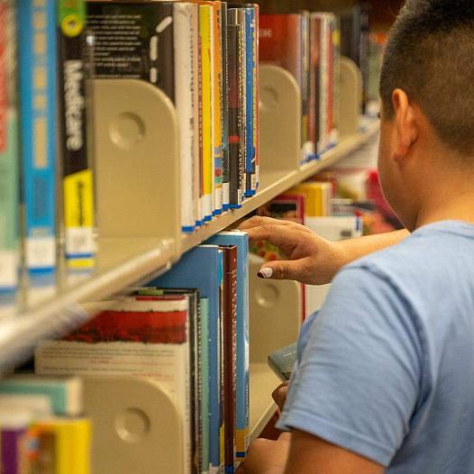 Person at a library