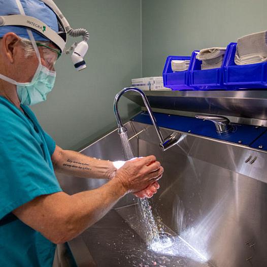 A surgeon scrubs in before a surgery