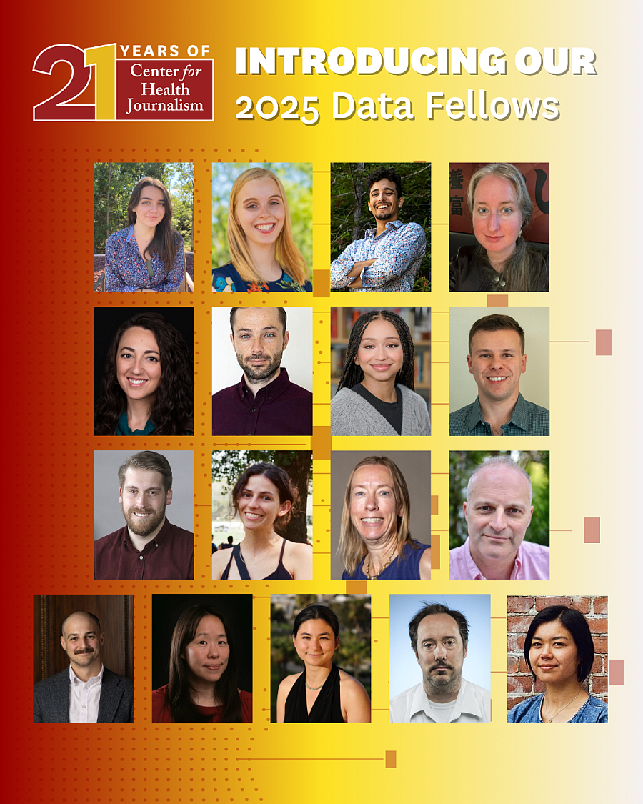 2025 Data Fellows' headshots shown in grid pattern.