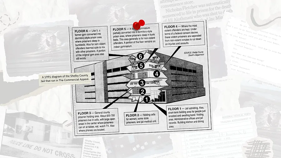 A 1991 diagram 
