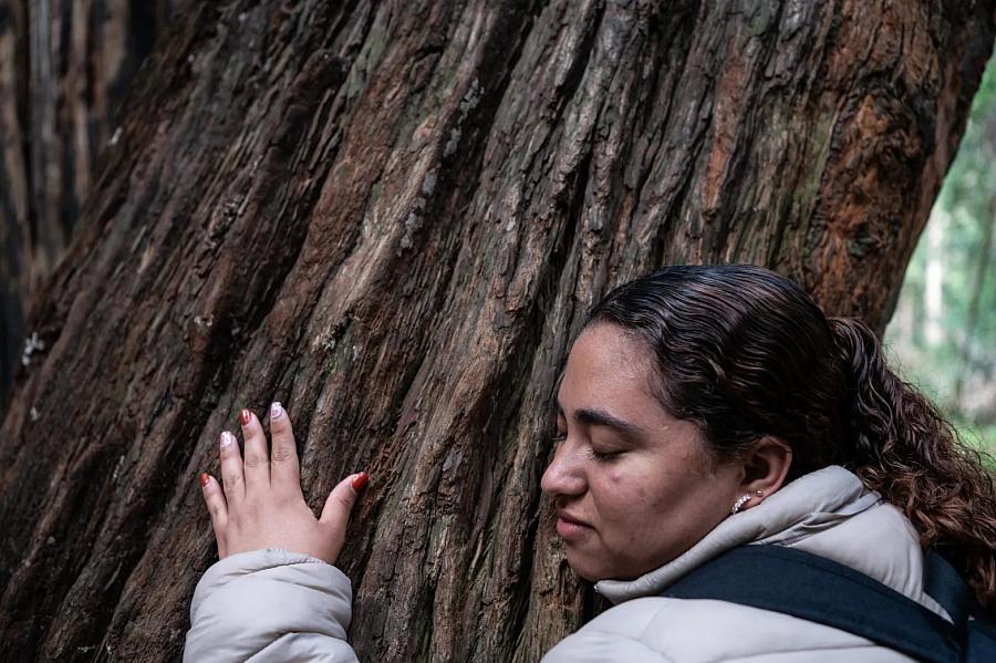 woman hugging a tree