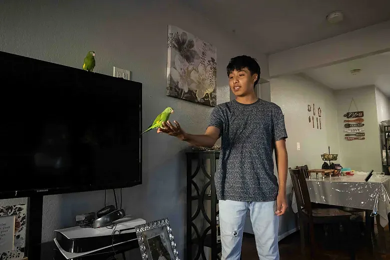 Ulises Parias, 20, plays with his family’s pet parakeets