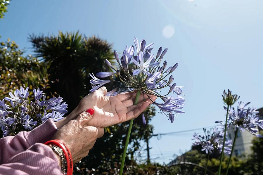 hand with flowers