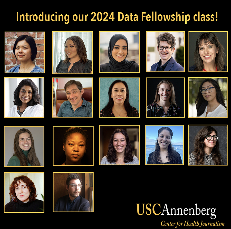 Headshots of members of the 2024 Data Fellowship class.