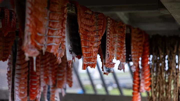 Salmon dries on a rack 