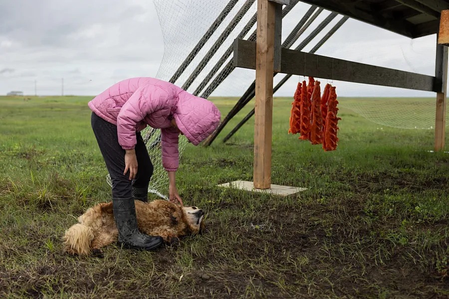Violet sits beside salmon drying on a rack 