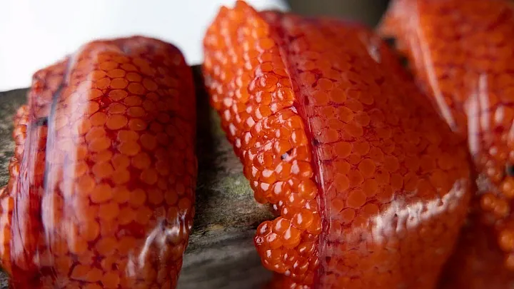 Salmon eggs dry on a rack 