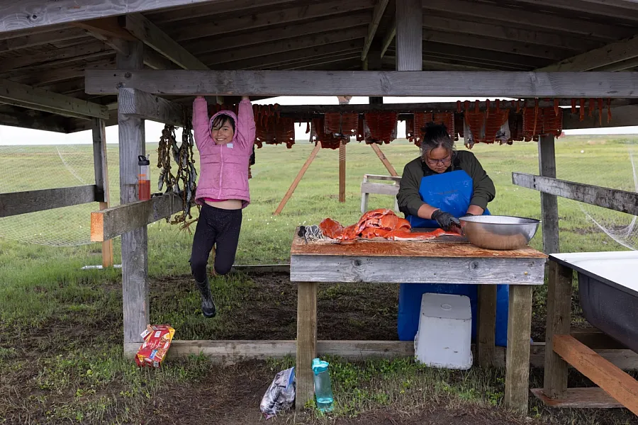 Deja Maher, 9, plays while her aunt, Helen Friend, cuts and hangs salmon outside her home in Kwigillingok, Alaska, on June 19, 2026. 