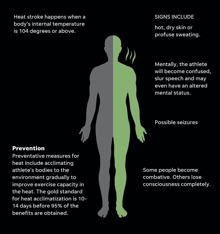 Illustration showing heat stroke symptoms and prevention techniques