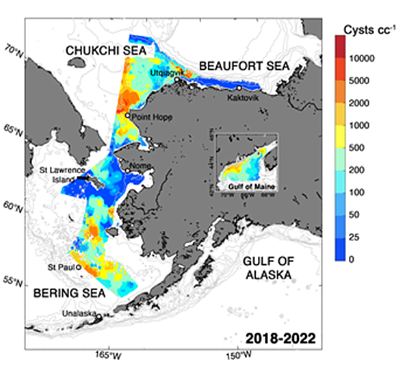 A map of Alexandrium cyst abundance