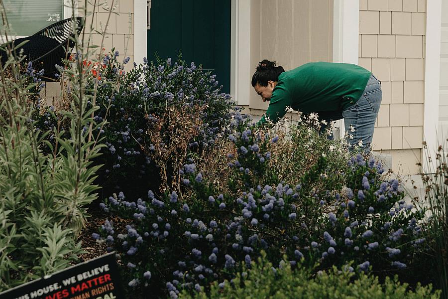 A woman taking care of plants in a lawn