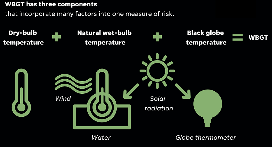 components of WBGT