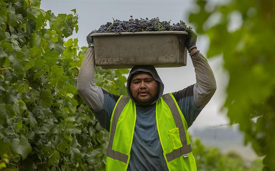 A man working on a farm