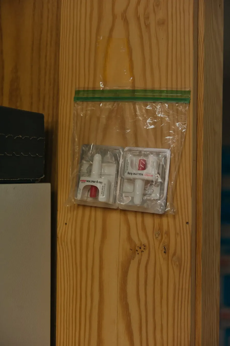 A bag of kits