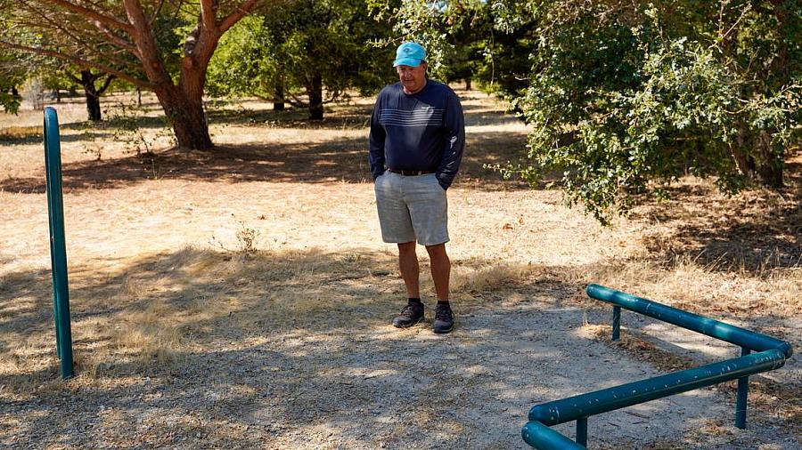 Person standing in a park