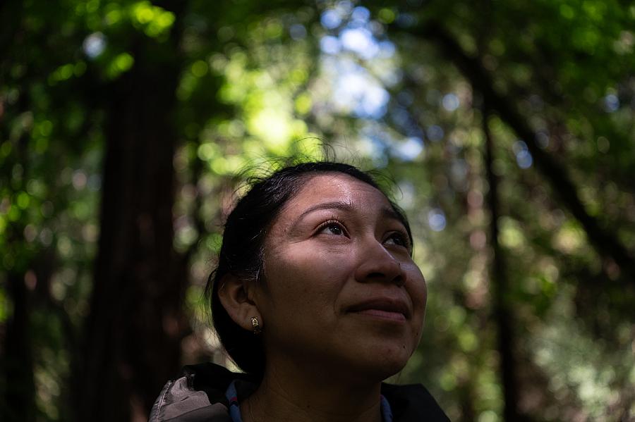 woman through the trees