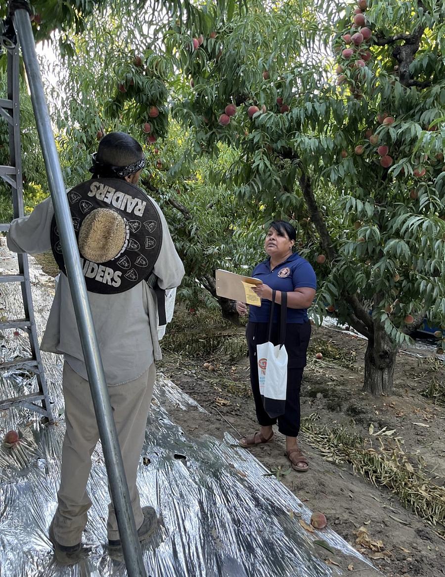 Organizers from Centro Binacional conduct in-person outreach with indigenous farmworkers. 