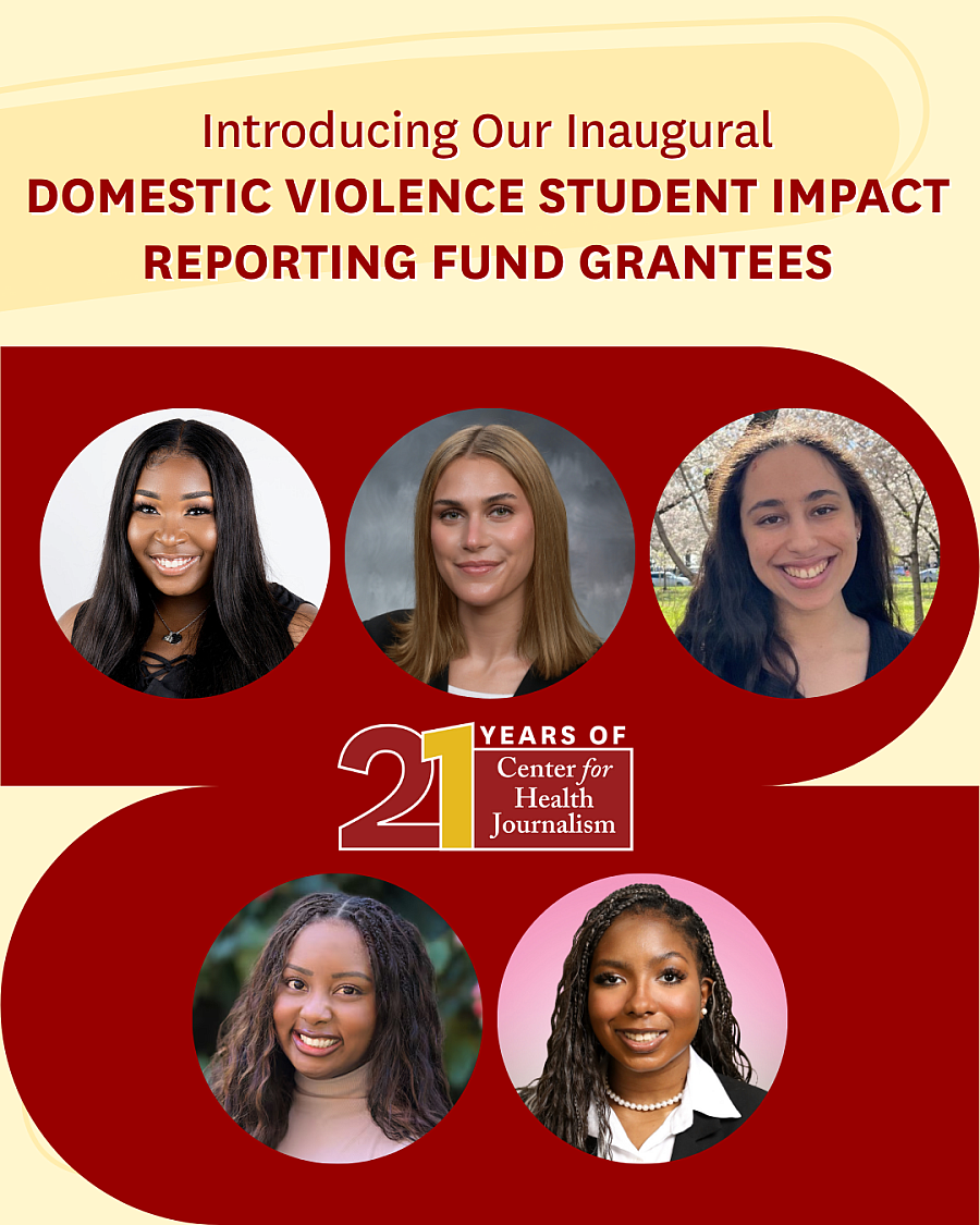 Domestic Violence Student Impact Grantees