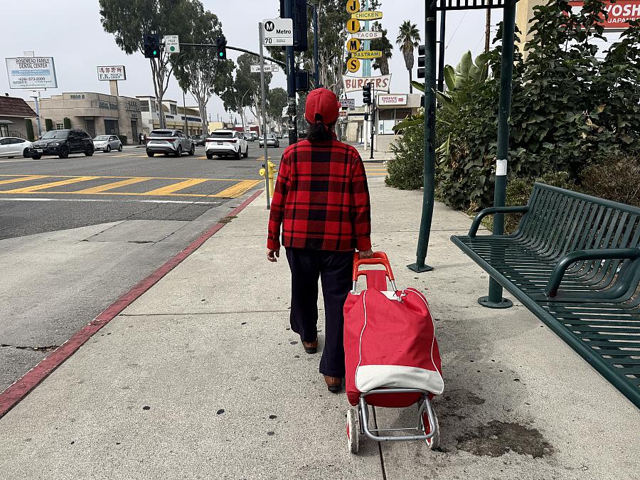 woman dragging a cart