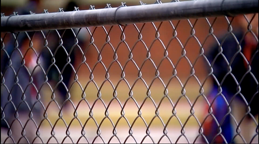 fence