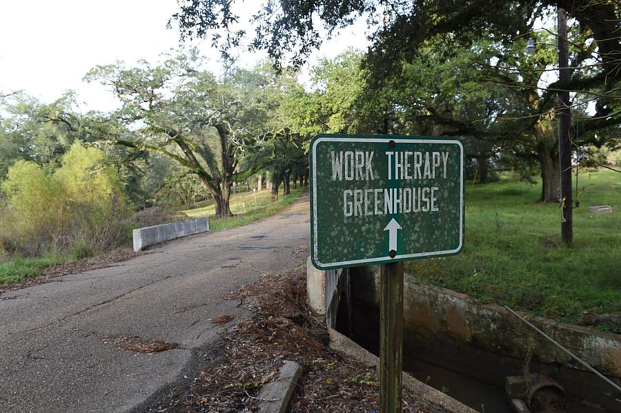 Green sign by a road surrounded by trees