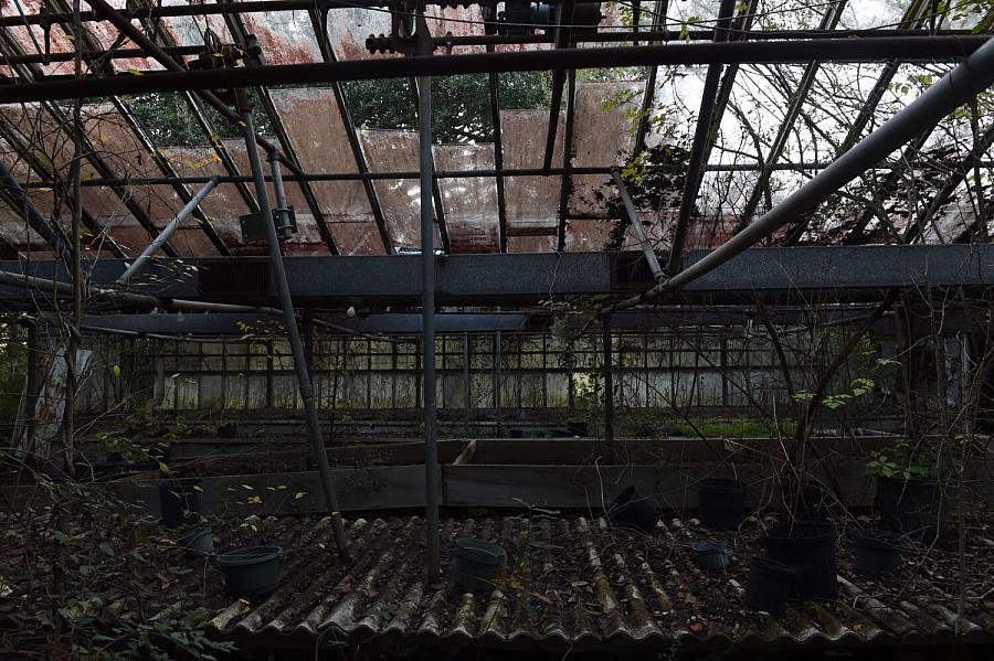 Inside of a greenhouse