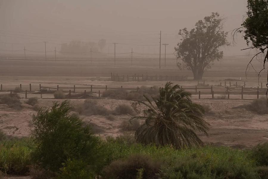 Dust blowing through a farm