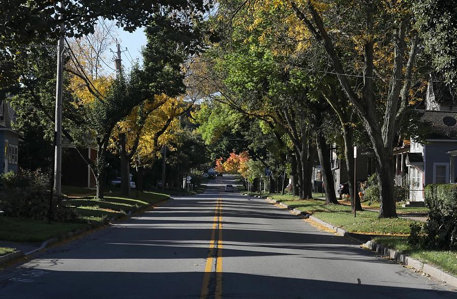 A tree-lined street in Rochester, New York.