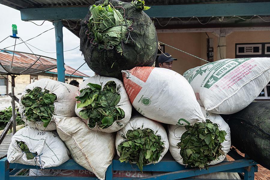 Image of bag of leaves